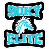 SOKY Elite Football